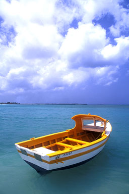 Fisherman Boat